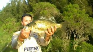 VIDEO: Fishing The Edge – Bass on surface lures